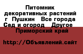 Питомник декоративных растений г. Пушкин - Все города Сад и огород » Другое   . Приморский край